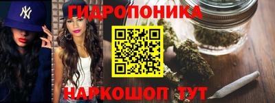 гашик Краснодар