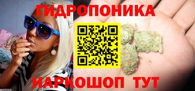 стафф Краснокаменск